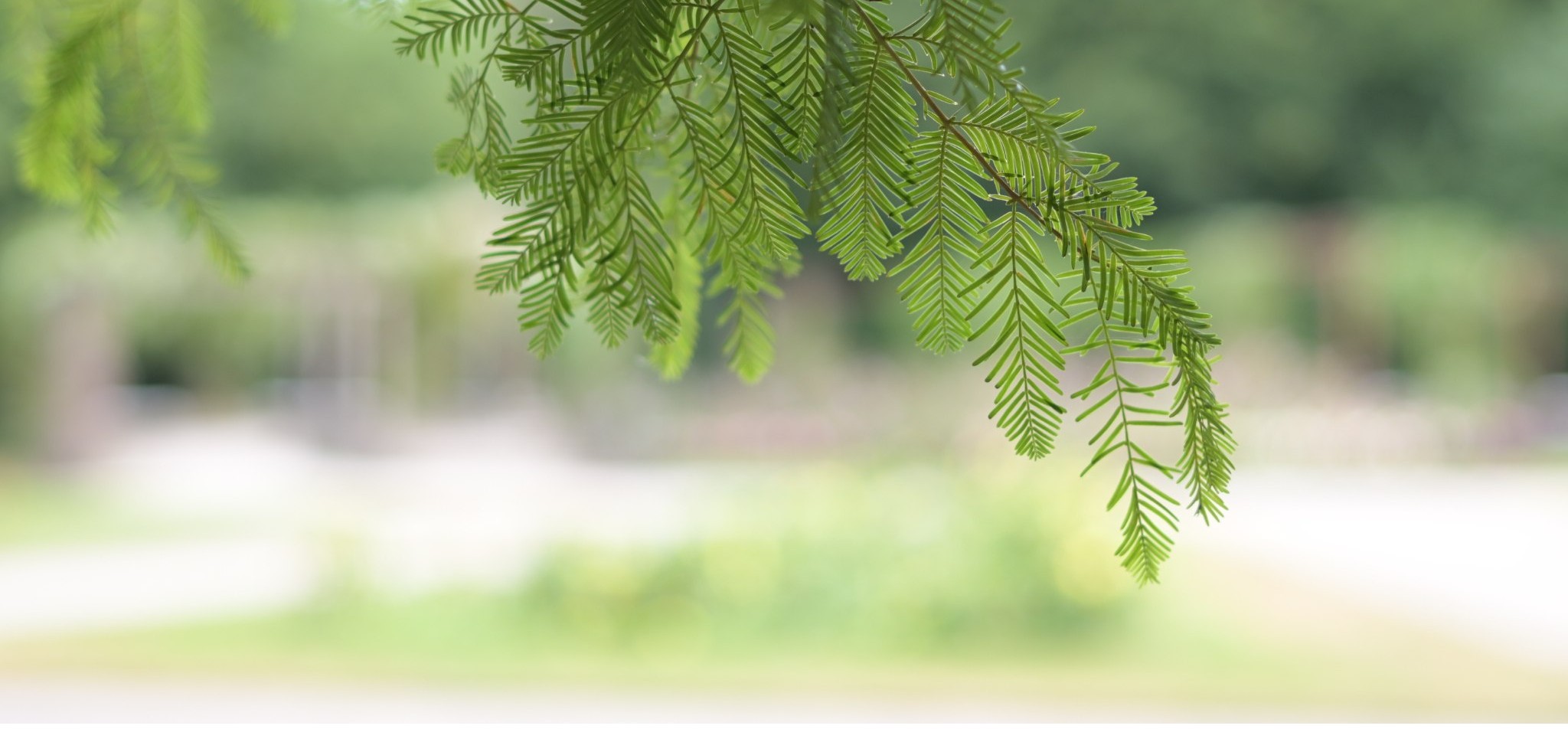 Berger Anlagen Banner